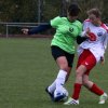 SpG Doberschuetz-Mockr-Laussig - Bornaer SV 04.11.2018  (5)